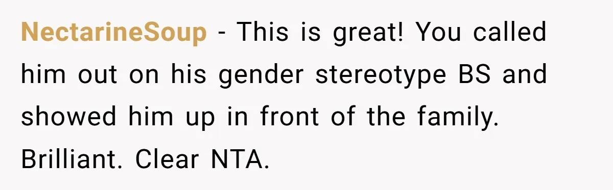 NectarineSoup − This is great! You called him out on his gender stereotype BS and showed him up in front of the family. Brilliant. Clear NTA.