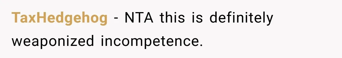 TaxHedgehog − NTA this is definitely weaponized incompetence.