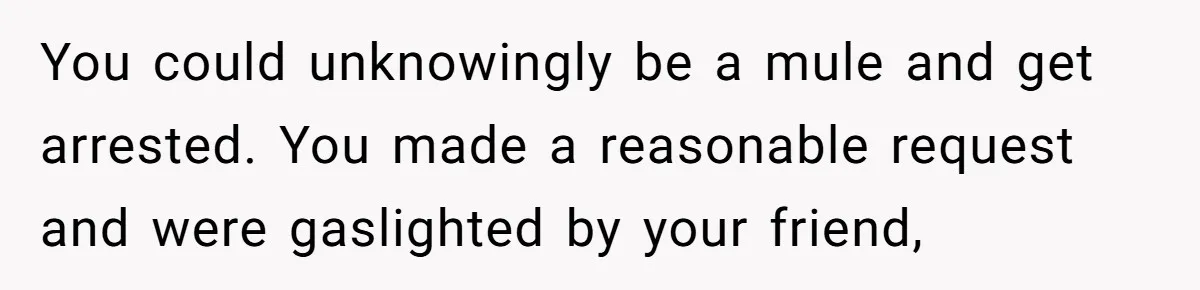 You could unknowingly be a mule and get arrested. You made a reasonable request and were gaslighted by your friend,