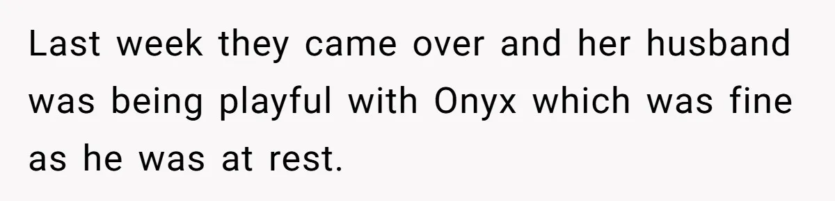 Last week they came over and her husband was being playful with Onyx which was fine as he was at rest.