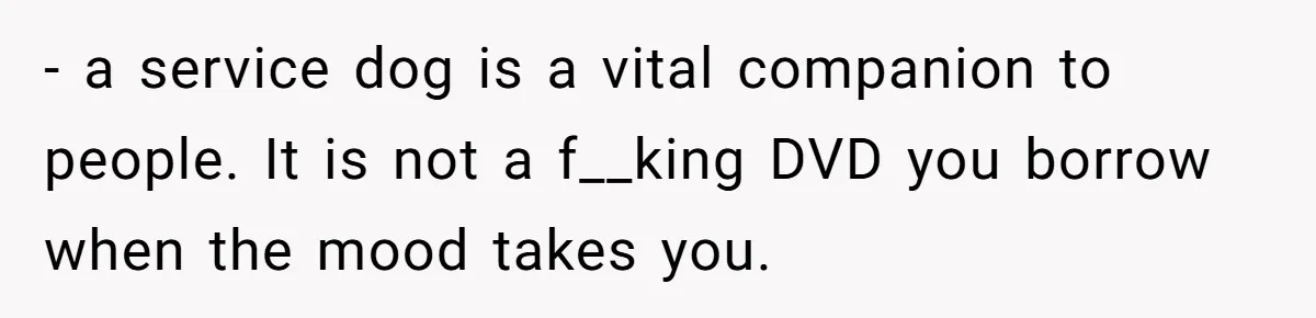 - a service dog is a vital companion to people. It is not a f__king DVD you borrow when the mood takes you.