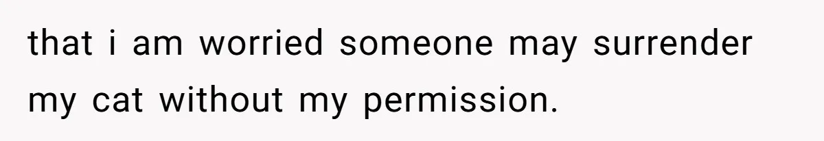 that i am worried someone may surrender my cat without my permission.