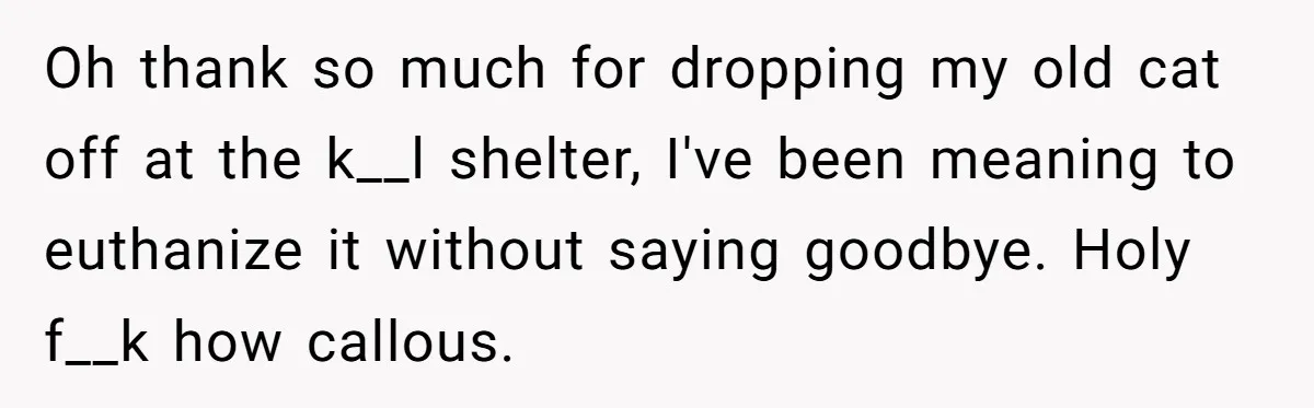 Oh thank so much for dropping my old cat off at the k__l shelter, I've been meaning to euthanize it without saying goodbye. Holy f__k how callous.