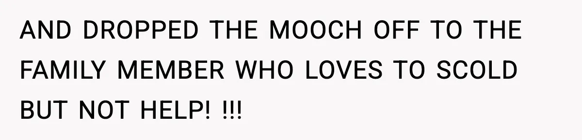 AND DROPPED THE MOOCH OFF TO THE FAMILY MEMBER WHO LOVES TO SCOLD BUT NOT HELP! !!!