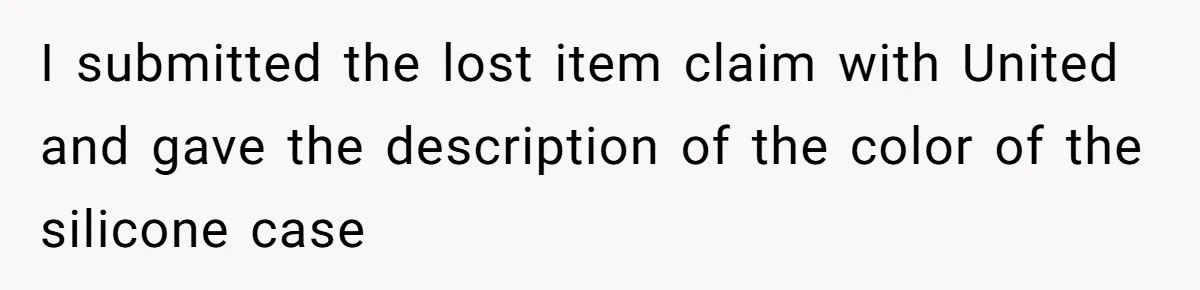 I submitted the lost item claim with United and gave the description of the color of the silicone case