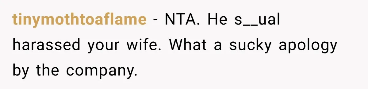 tinymothtoaflame − NTA. He s__ual harassed your wife. What a sucky apology by the company.