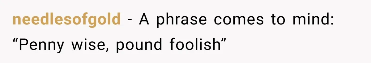 needlesofgold − A phrase comes to mind: “Penny wise, pound foolish”