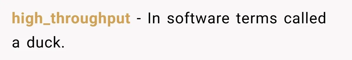 Customer Always “Found” An Error, So They Gave Him One high_throughput − In software terms called a duck.