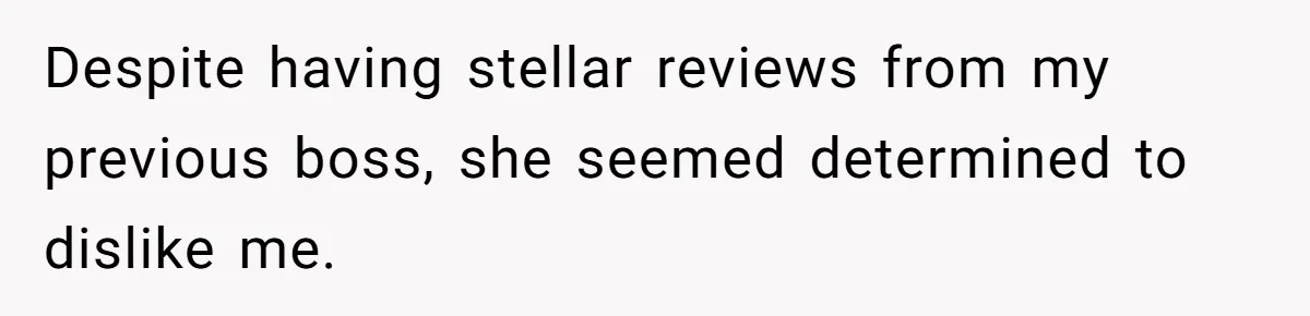 Despite having stellar reviews from my previous boss, she seemed determined to dislike me.