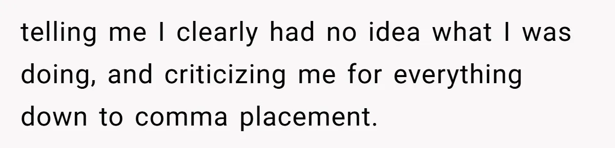 telling me I clearly had no idea what I was doing, and criticizing me for everything down to comma placement.
