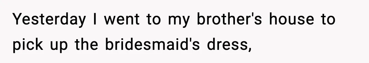 Yesterday I went to my brother's house to pick up the bridesmaid's dress,