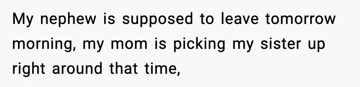 Sister Says “Kids Need A Mom” At Late Wife’s Son’s Birthday, Brother Kicks Her And Nephew Out Of House My nephew is supposed to leave tomorrow morning, my mom is picking my sister up right around that time,