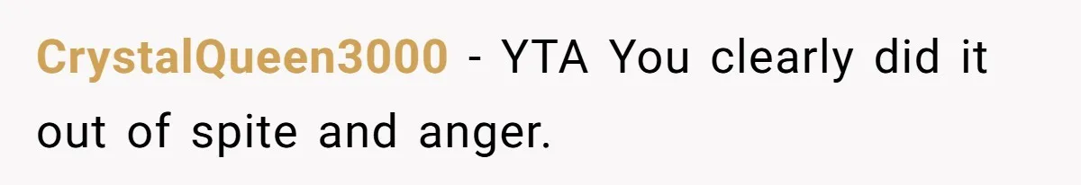 CrystalQueen3000 − YTA You clearly did it out of spite and anger.