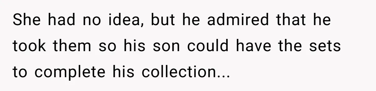 She had no idea, but he admired that he took them so his son could have the sets to complete his collection...