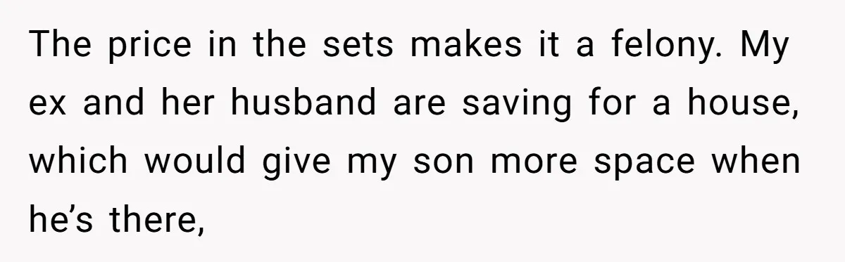 The price in the sets makes it a felony. My ex and her husband are saving for a house, which would give my son more space when he’s there,