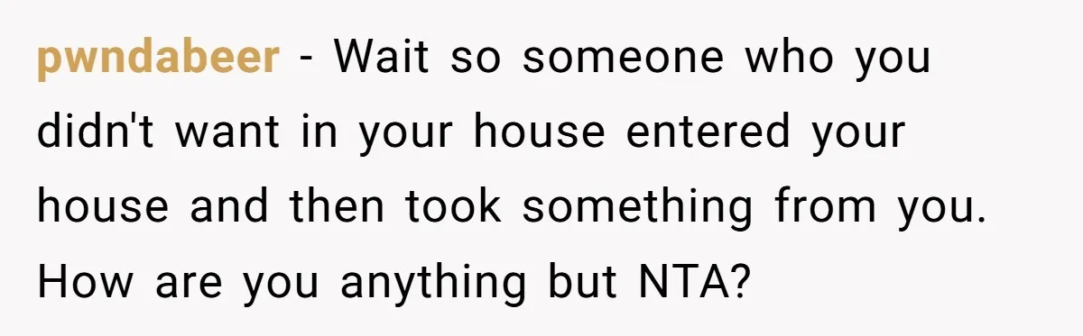 pwndabeer − Wait so someone who you didn't want in your house entered your house and then took something from you. How are you anything but NTA?