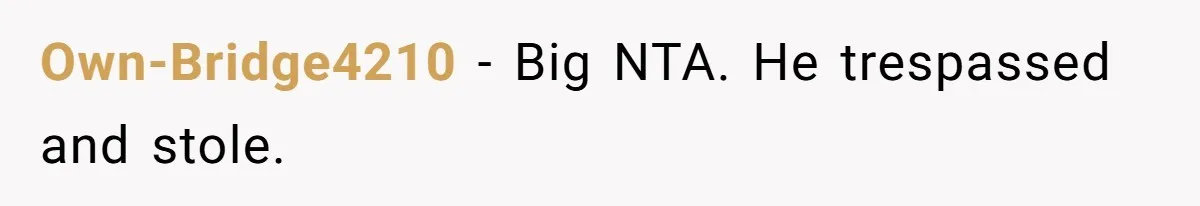 Own-Bridge4210 − Big NTA. He trespassed and stole.