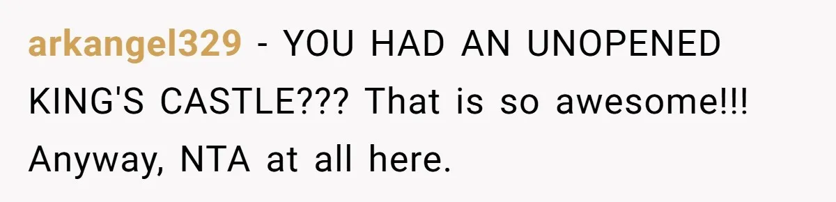 arkangel329 − YOU HAD AN UNOPENED KING'S CASTLE??? That is so awesome!!! Anyway, NTA at all here.