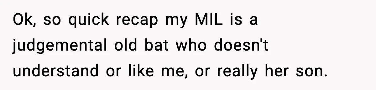 Ok, so quick recap my MIL is a judgemental old bat who doesn't understand or like me, or really her son.