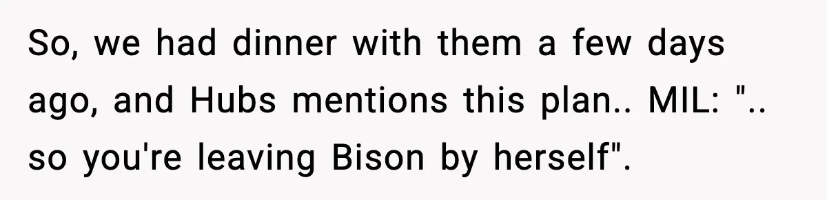 So, we had dinner with them a few days ago, and Hubs mentions this plan.. MIL: ".. so you're leaving Bison by herself".