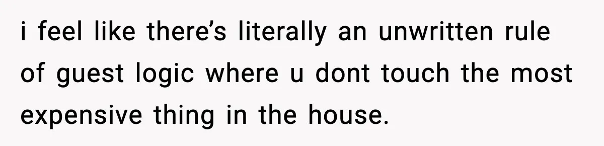 i feel like there’s literally an unwritten rule of guest logic where u dont touch the most expensive thing in the house.
