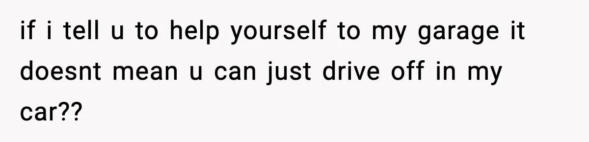 if i tell u to help yourself to my garage it doesnt mean u can just drive off in my car??