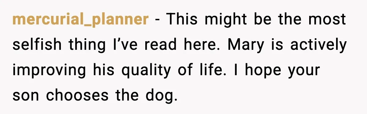 mercurial_planner - This might be the most selfish thing I’ve read here. Mary is actively improving his quality of life. I hope your son chooses the dog.