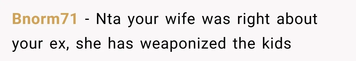 Daughter Posted Stepmom’s Therapy Journal Online, Family Imploded Bnorm71 − Nta your wife was right about your ex, she has weaponized the kids