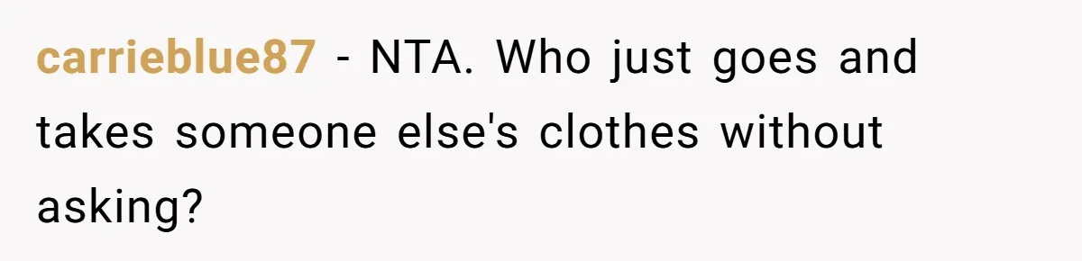 carrieblue87 − NTA. Who just goes and takes someone else's clothes without asking?