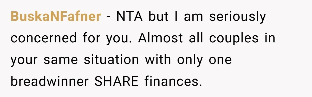BuskaNFafner − NTA but I am seriously concerned for you. Almost all couples in your same situation with only one breadwinner SHARE finances.