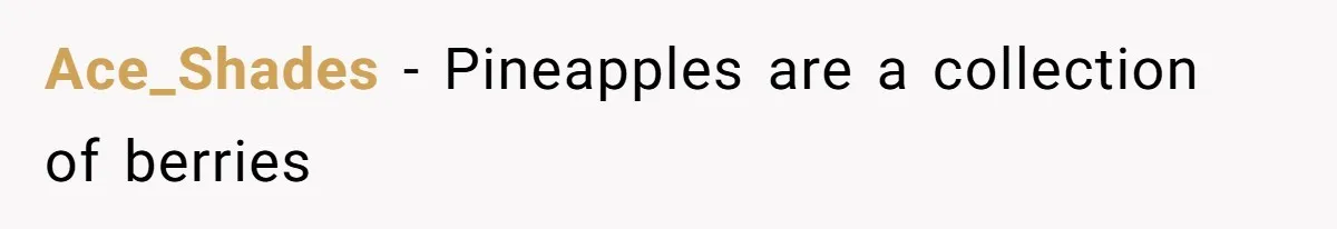 Ace_Shades − Pineapples are a collection of berries