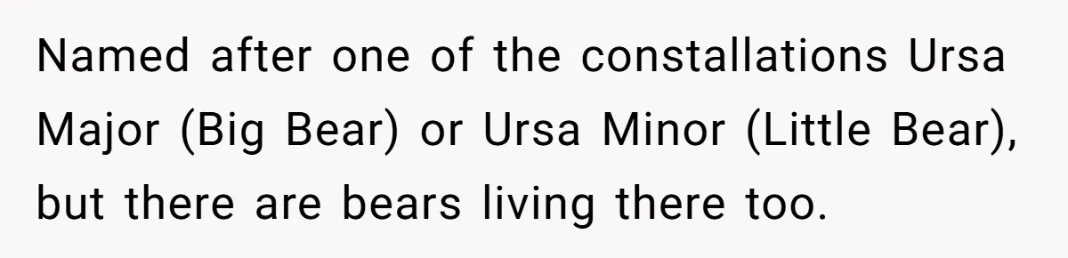 Named after one of the constallations Ursa Major (Big Bear) or Ursa Minor (Little Bear), but there are bears living there too.