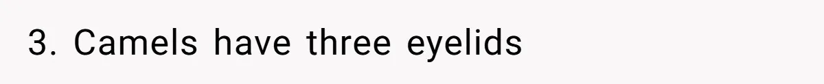 3. Camels have three eyelids