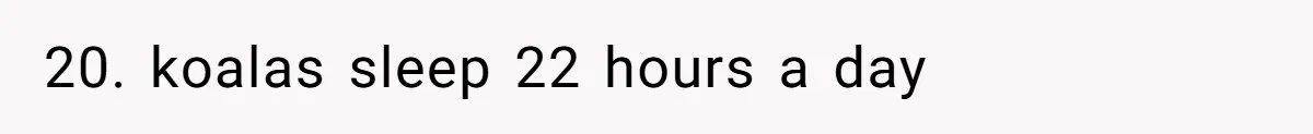 20. koalas sleep 22 hours a day