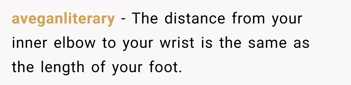aveganliterary − The distance from your inner elbow to your wrist is the same as the length of your foot.