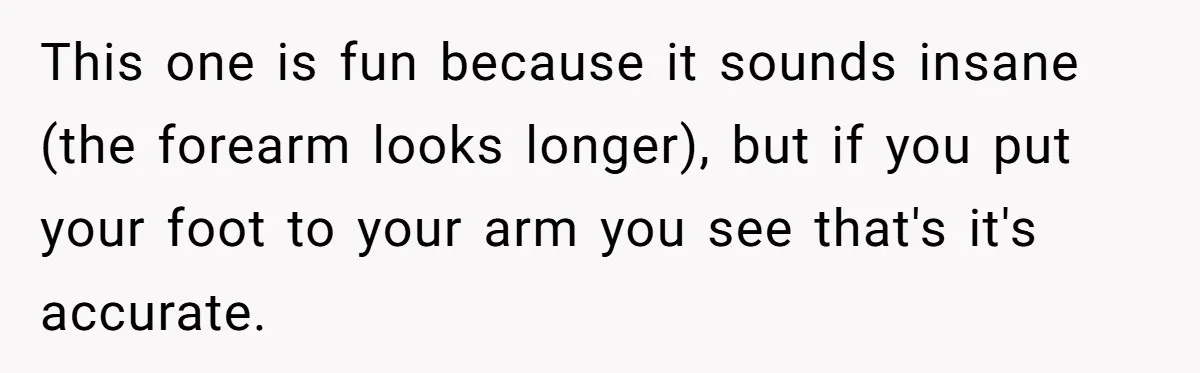 This one is fun because it sounds insane (the forearm looks longer), but if you put your foot to your arm you see that's it's accurate.