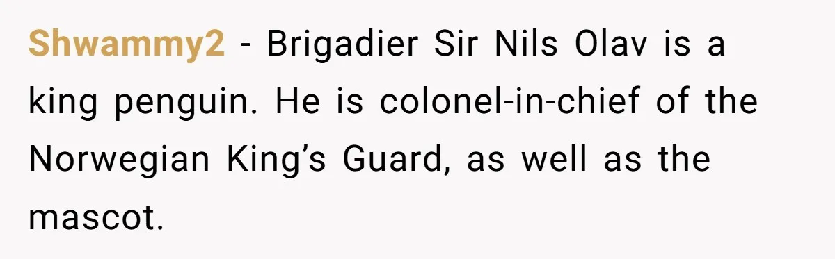 Shwammy2 − Brigadier Sir Nils Olav is a king penguin. He is colonel-in-chief of the Norwegian King’s Guard, as well as the mascot.