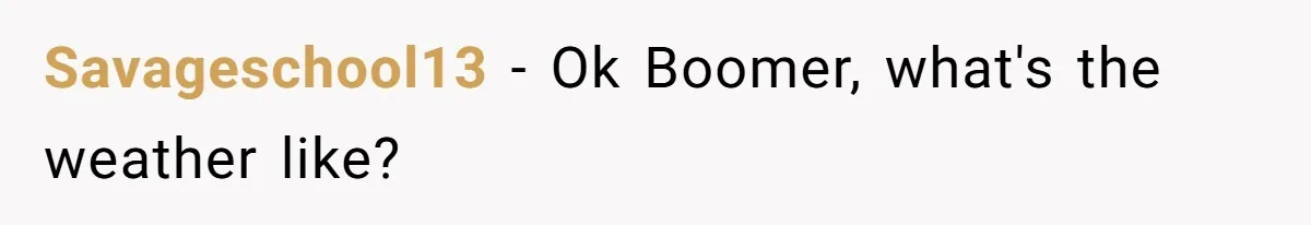 What Happens When Voice Assistance Answers You Like A Real Boomer Savageschool13 − Ok Boomer, what's the weather like?