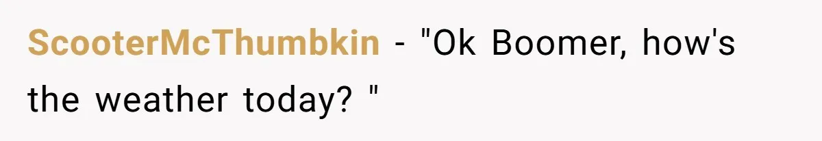 What Happens When Voice Assistance Answers You Like A Real Boomer ScooterMcThumbkin − "Ok Boomer, how's the weather today? "