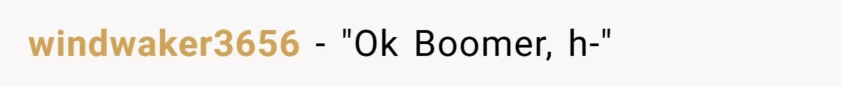 What Happens When Voice Assistance Answers You Like A Real Boomer windwaker3656 − "Ok Boomer, h-"