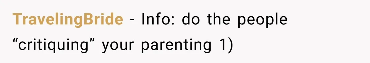 TravelingBride − Info: do the people “critiquing” your parenting 1)