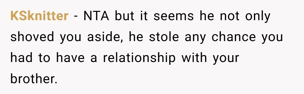 KSknitter − NTA but it seems he not only shoved you aside, he stole any chance you had to have a relationship with your brother.