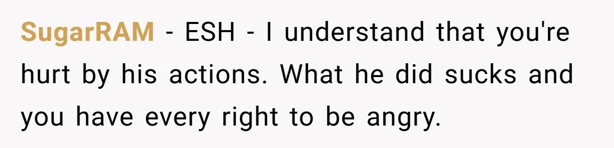 SugarRAM − ESH - I understand that you're hurt by his actions. What he did sucks and you have every right to be angry.