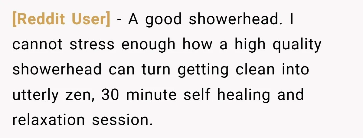 [Reddit User] − A good showerhead. I cannot stress enough how a high quality showerhead can turn getting clean into utterly zen, 30 minute self healing and relaxation session.