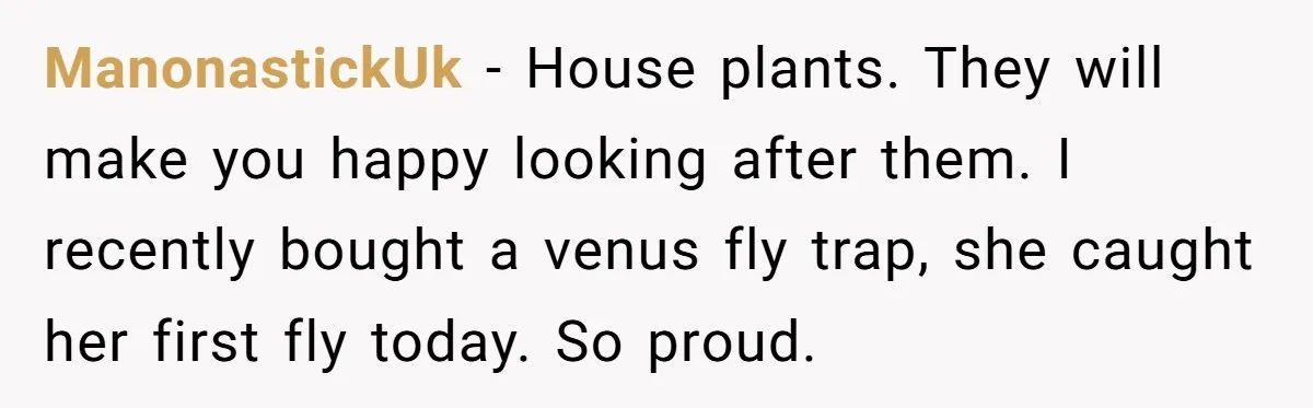 Small Buys, Big Shifts: Life Upgrades Hiding In Plain Sight For Less Than $100 ManonastickUk − House plants. They will make you happy looking after them. I recently bought a venus fly trap, she caught her first fly today. So proud.