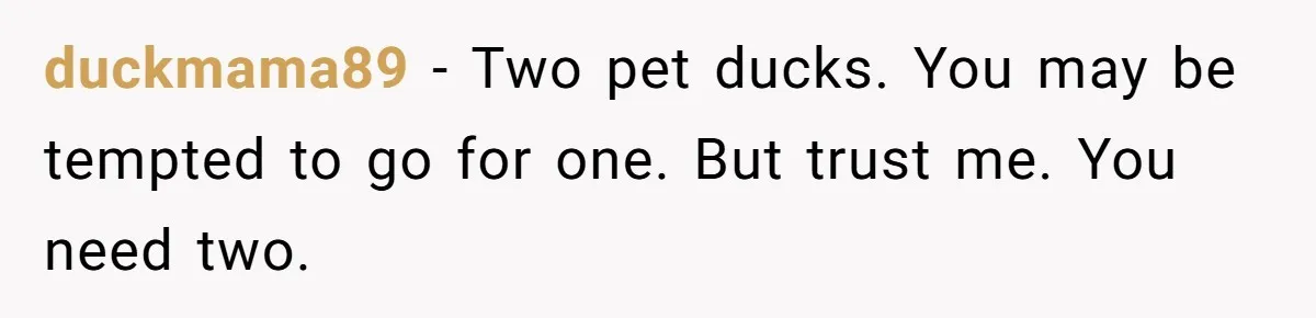 Small Buys, Big Shifts: Life Upgrades Hiding In Plain Sight For Less Than $100 duckmama89 − Two pet ducks. You may be tempted to go for one. But trust me. You need two.