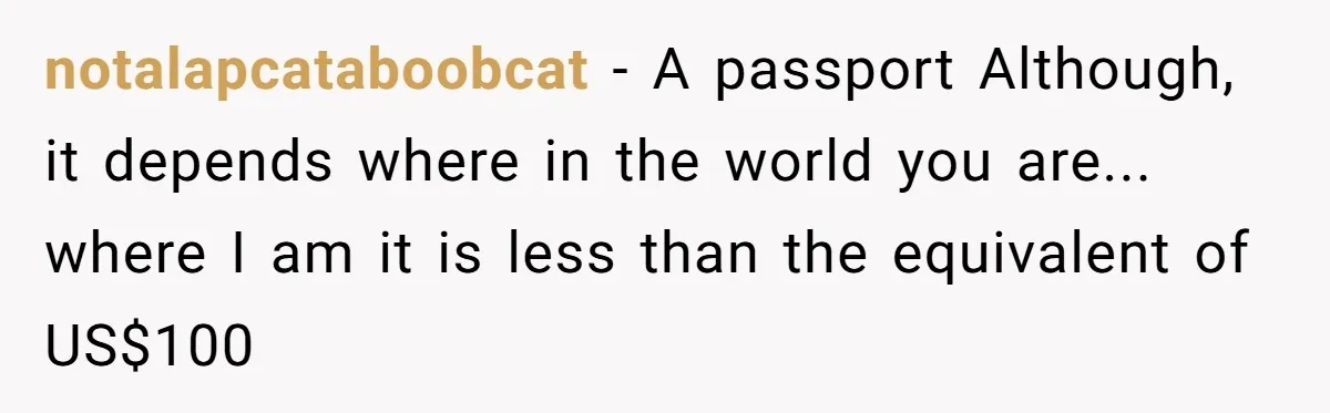 Small Buys, Big Shifts: Life Upgrades Hiding In Plain Sight For Less Than $100 notalapcataboobcat − A passport Although, it depends where in the world you are... where I am it is less than the equivalent of US$100