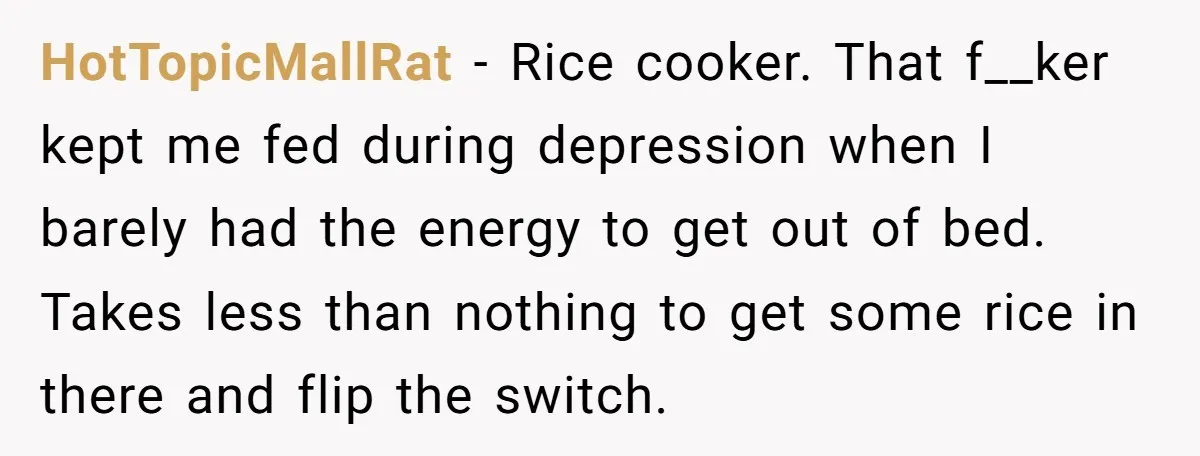 Small Buys, Big Shifts: Life Upgrades Hiding In Plain Sight For Less Than $100 HotTopicMallRat − Rice cooker. That f__ker kept me fed during depression when I barely had the energy to get out of bed. Takes less than nothing to get some rice...