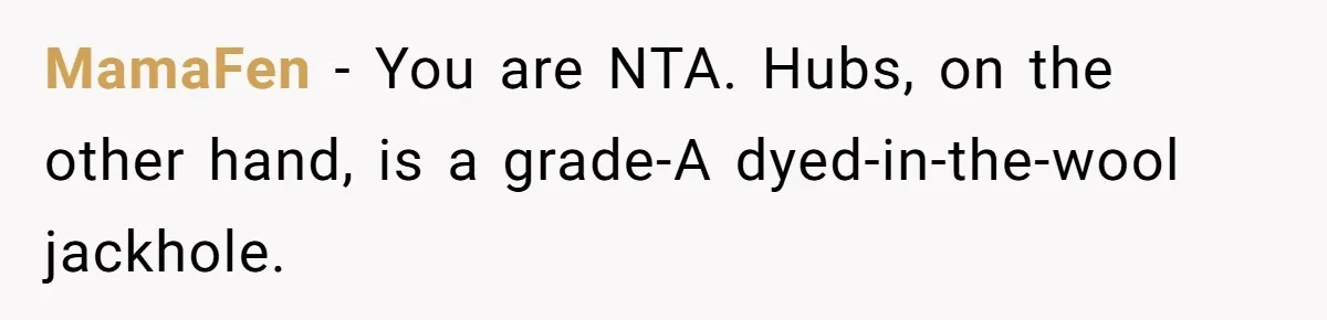 MamaFen − You are NTA. Hubs, on the other hand, is a grade-A dyed-in-the-wool jackhole.