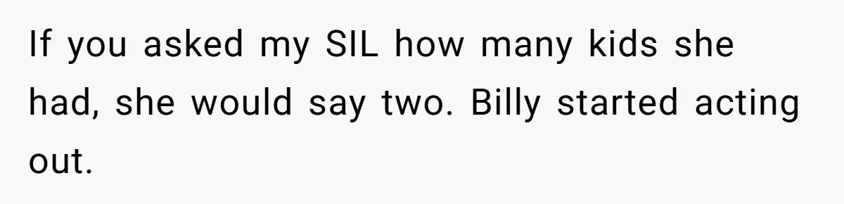 Aunt Lets Nephew Call Her Mom After His Own Parents “Got Rid” Of Him If you asked my SIL how many kids she had, she would say two. Billy started acting out.